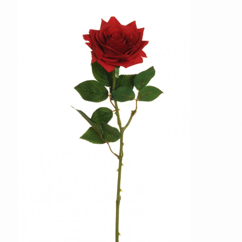 Rosa singola h64 cm ro -rosso *