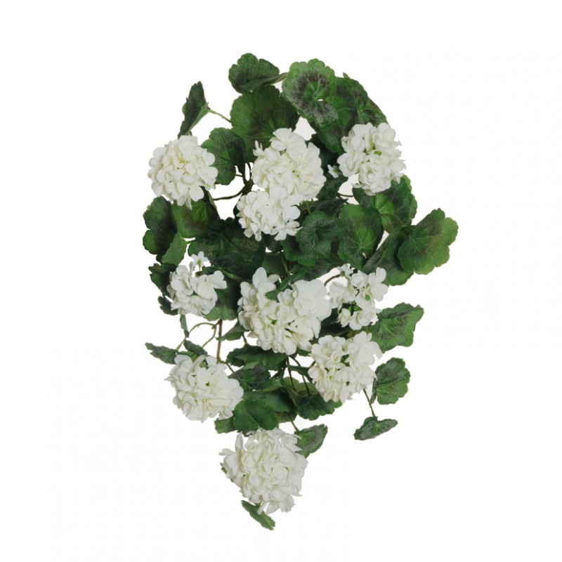 Geranio bush cadente x4 55cm ge -white *