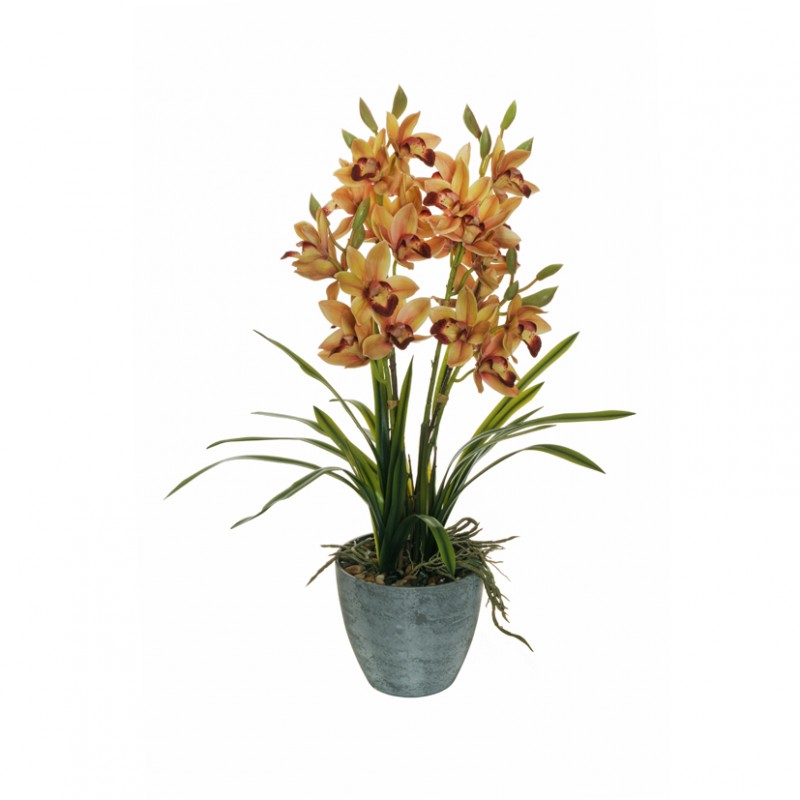 Pianta orchidea 64cm or -light brown *
