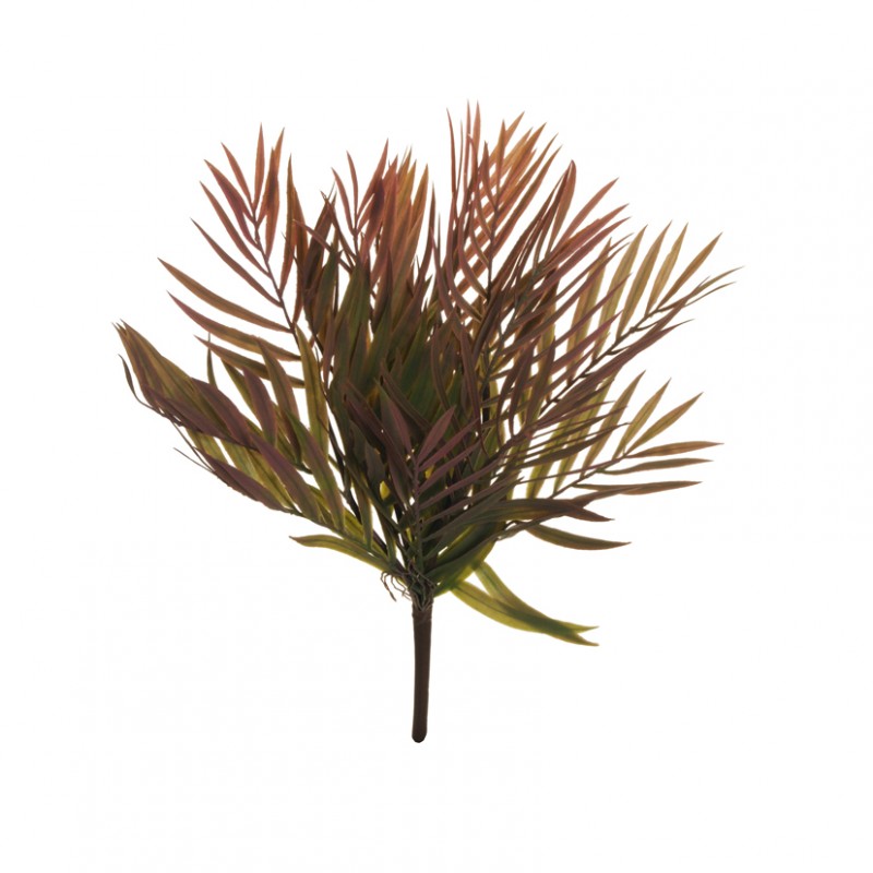 Palm areca bush x5 cm43 - bu5.15 *