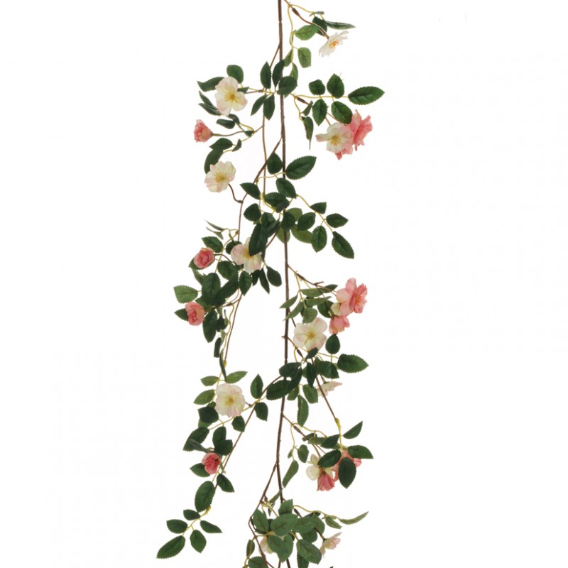 Rosa canina festone 160cm ro-cream/pink*