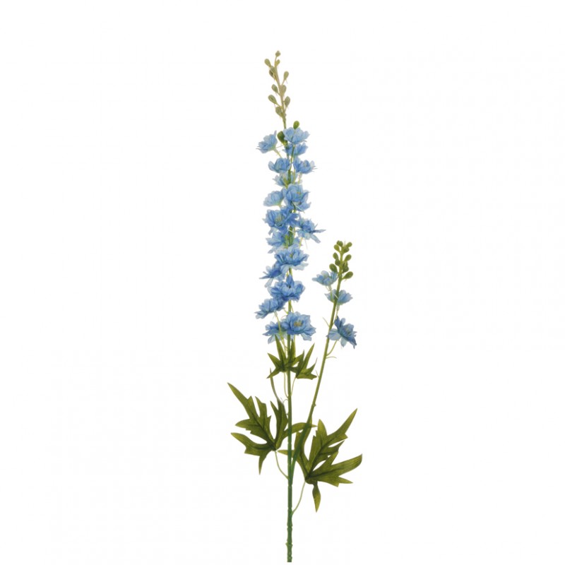 Delphinium speronella x2 h87 de-l.blue*