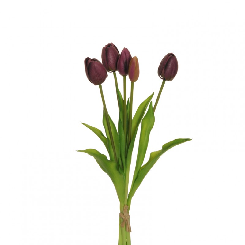 Tulipano x5 h39 cm tu -violet *