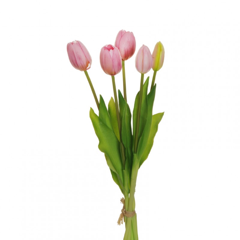 Tulipano x5 h39 cm tu -lilac *