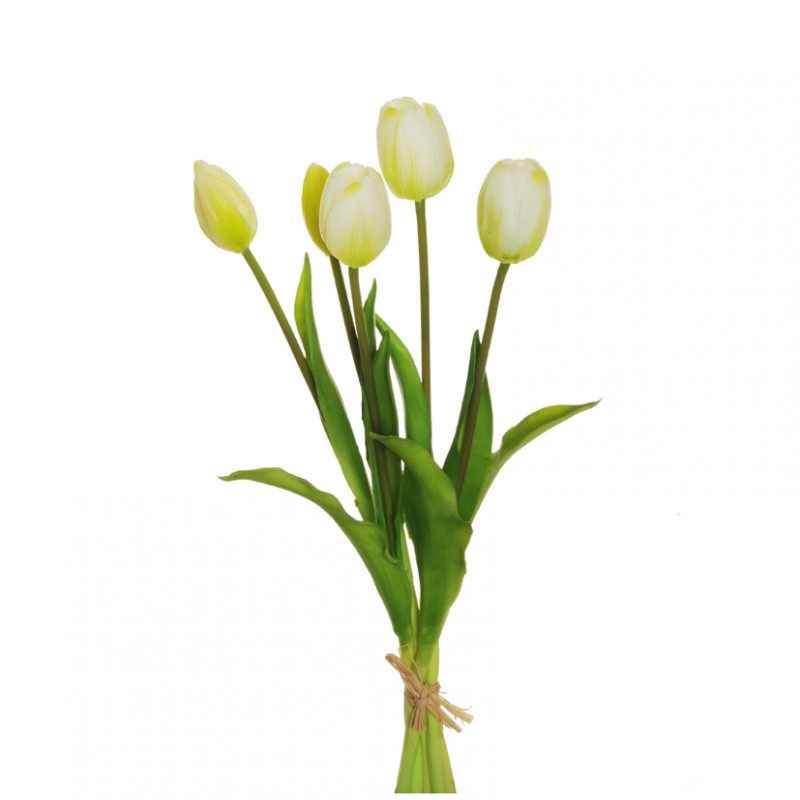 Tulipano x5 h39 cm tu -white green *