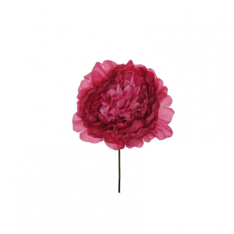 Peonia testa d14 h18 cm pe -fucsia *