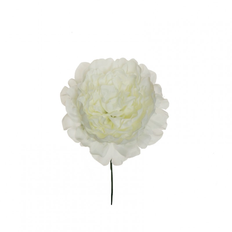 Peonia testa d14 h18 cm pe -white *