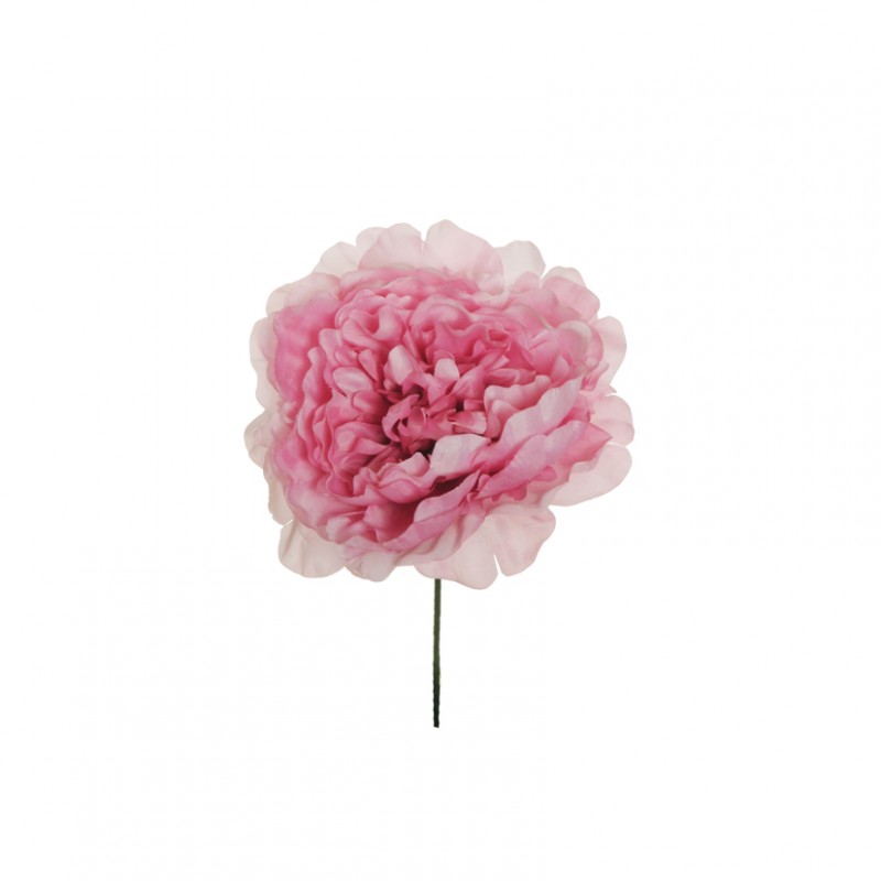 Peonia testa d14 h18 cm pe -pink *