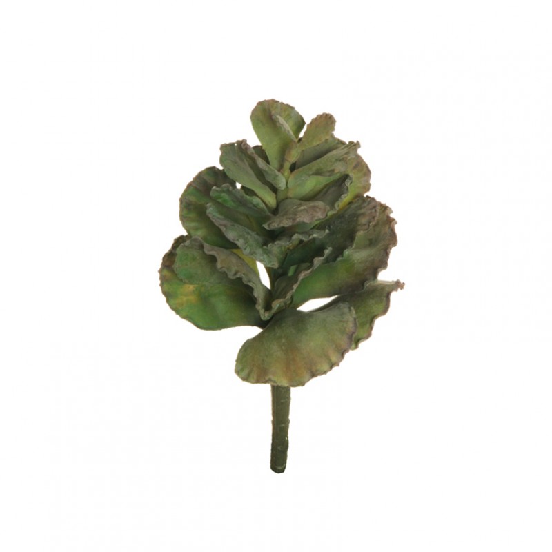 Succulent h20cm - pg3,11 * green