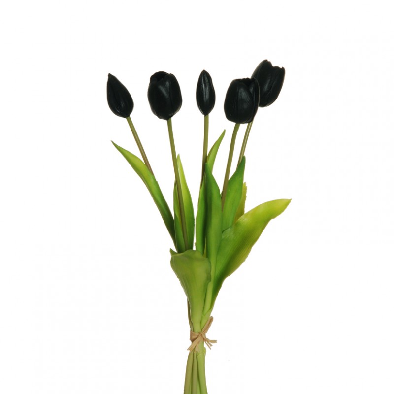 Tulipano x5 h39 cm tu -black *