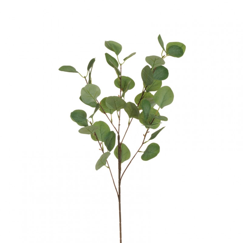 Eucalyptus h90 cm eu -green *