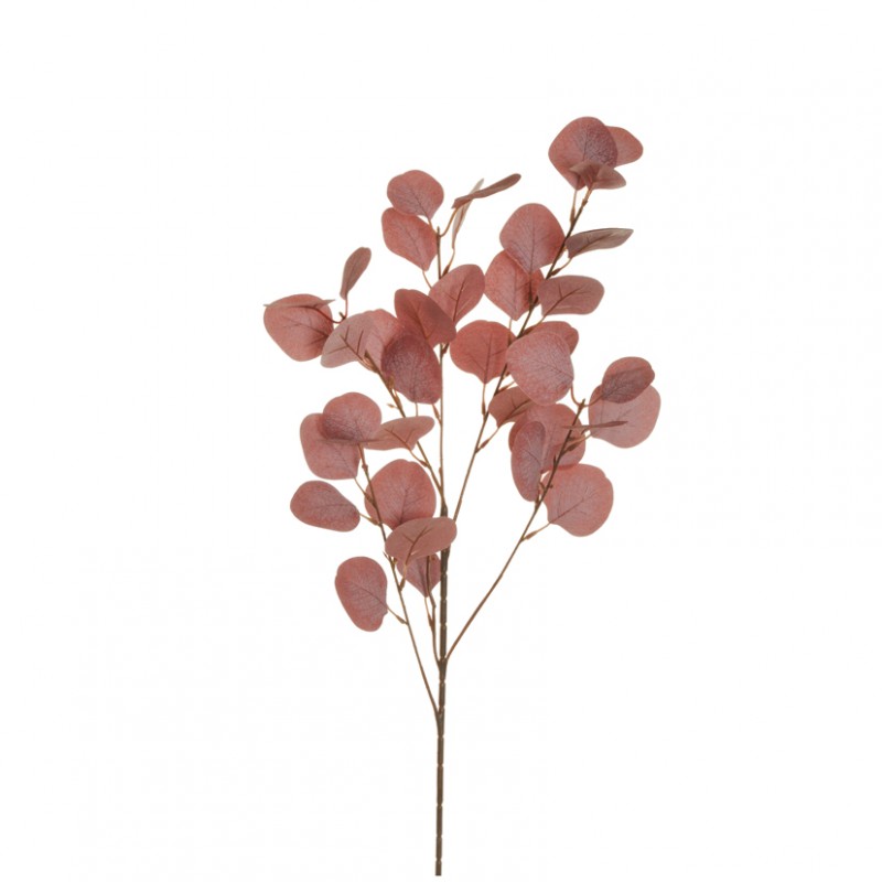 Eucalyptus h90 cm eu -dark red *