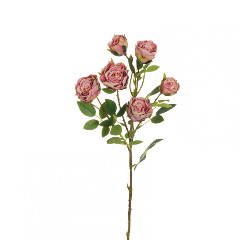 Rosa bud x6 h64 cm ro -malva *