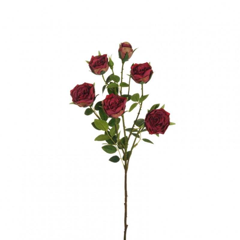 Rosa bud x6 h64 cm ro -fucsia scuro *