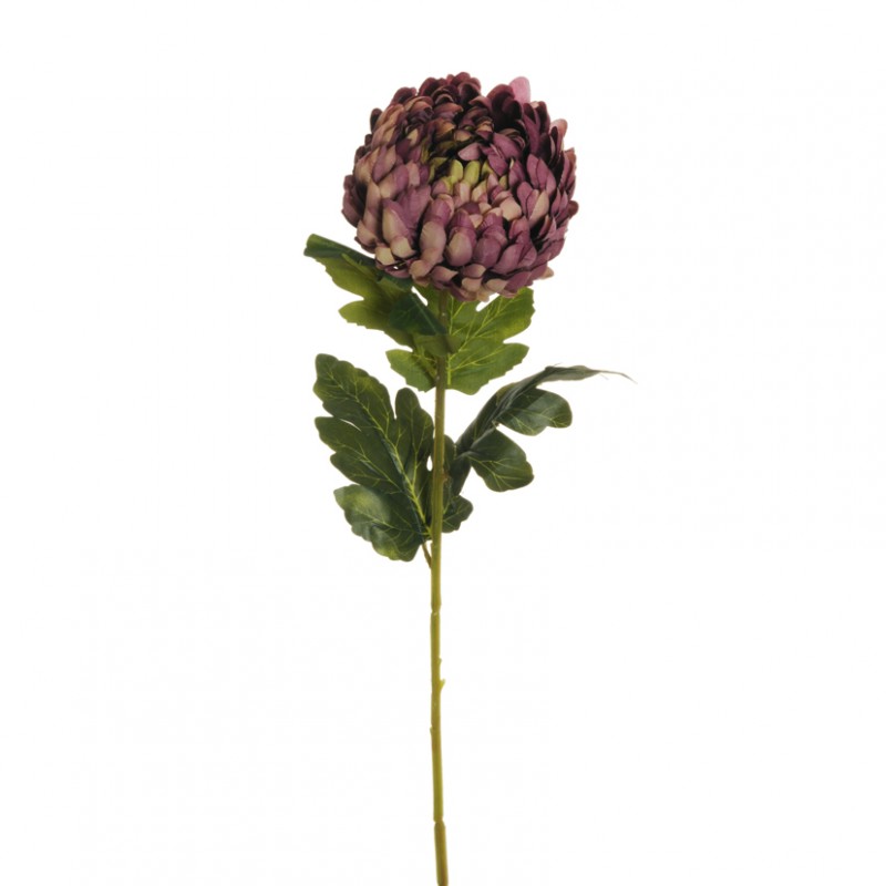 Crisantemo h76 cr- purple  *