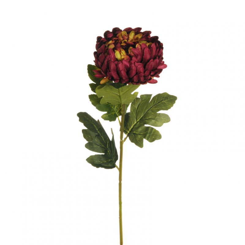 Crisantemo h76 cr - burgundy *