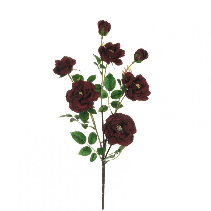 Dogwood rose 75 cm - ro5,20 *