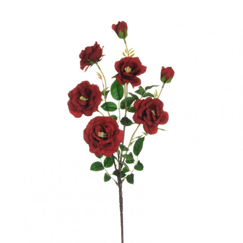 Rosa dogwood h75 cm ro -rosso *