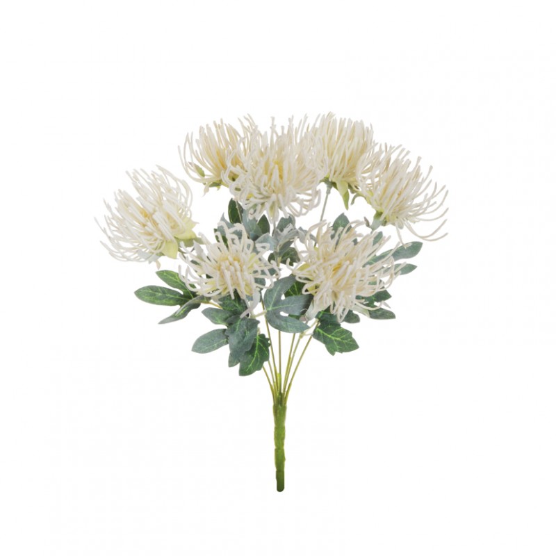 Cordifolium bush x7 43cm co -cream *