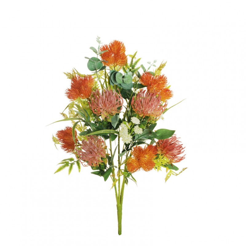 Cordifolium bush floc x15 h60 co orange*
