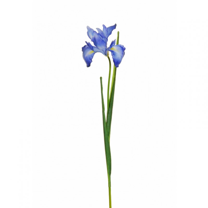 Iris real touch h55 ir - blue *