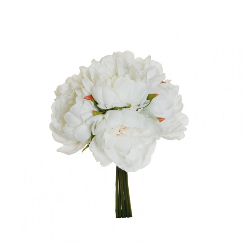 Peonia bush x6 h29 pe - wh*