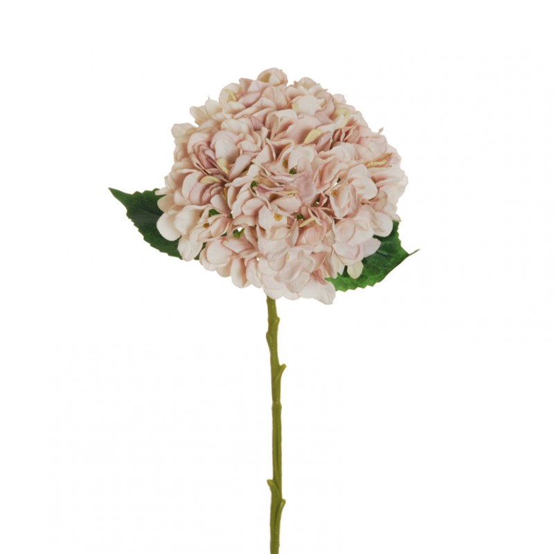 Ortensia h50cm or-cream antique pink*