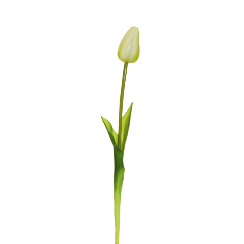 Tulipano rubber h50cm tu-white green*
