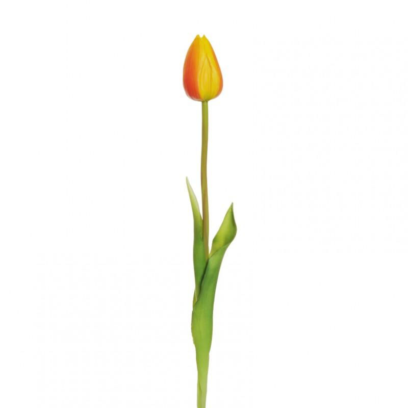 Tulipano rubber h50cm tu-orange*