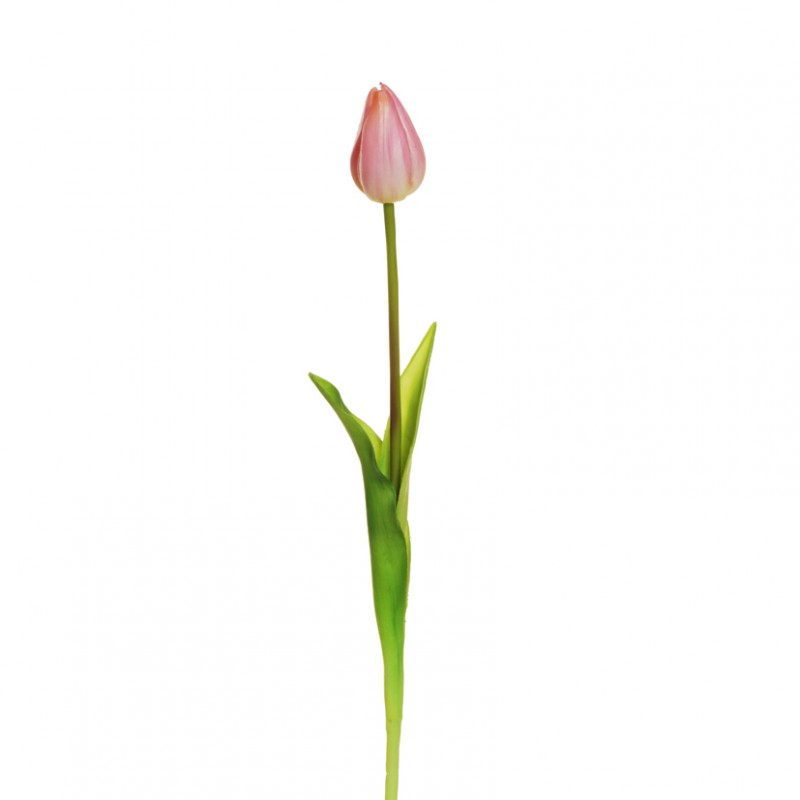 Tulip rubber h50cm tu-lilac *