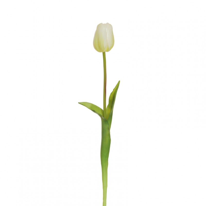 Tulipano rubber h46cm tu-white gr*