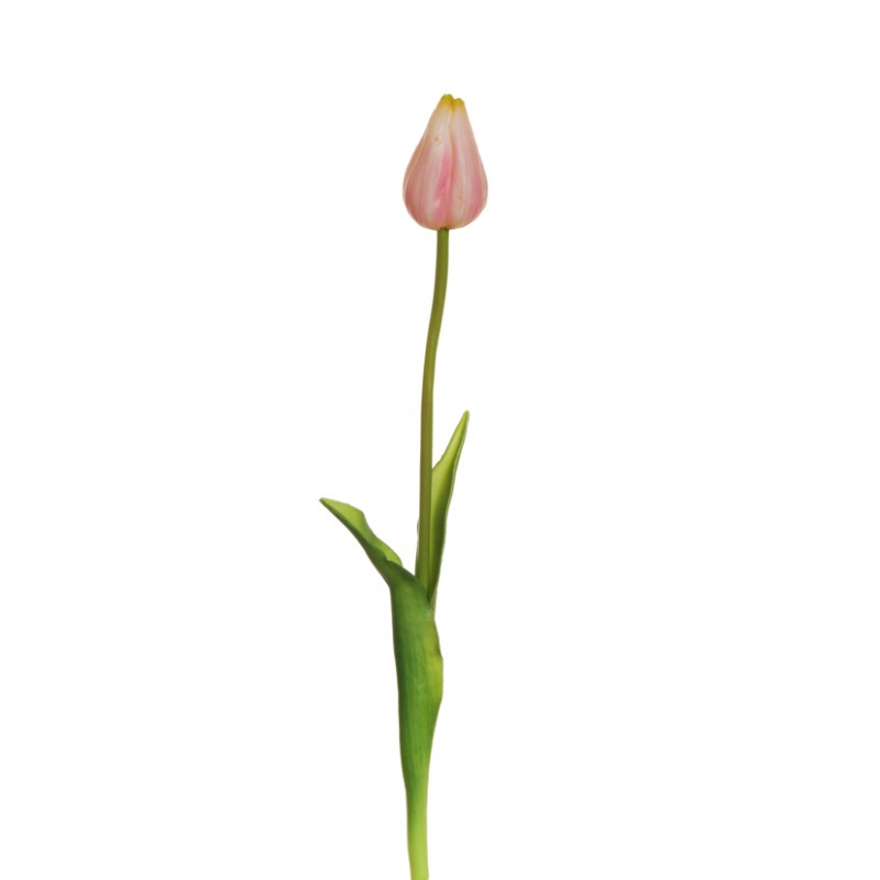 Tulipano rubber h50cm tu-pink*
