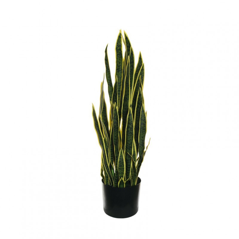 Pianta sanseveria h112 c/vaso pn-green*