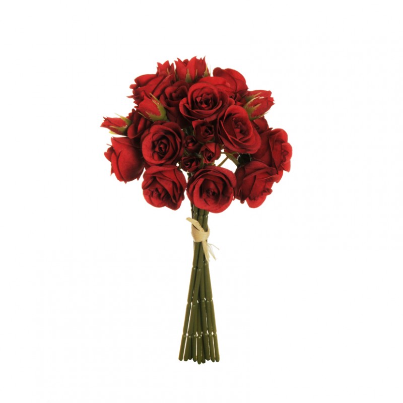 Rosa bunch mini anna x9 d4.5 h30-red *