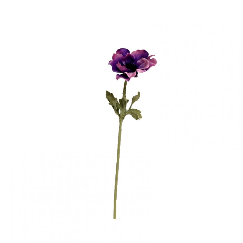 Anemone x1 h36 an - purple violet*