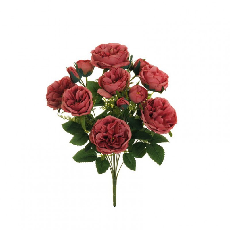 Rosa austin bush x10 h48 ro - mauve*