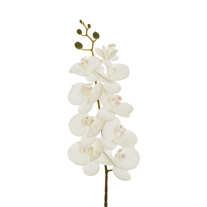 Orchidea phalaenopsis or h96 cm- white*