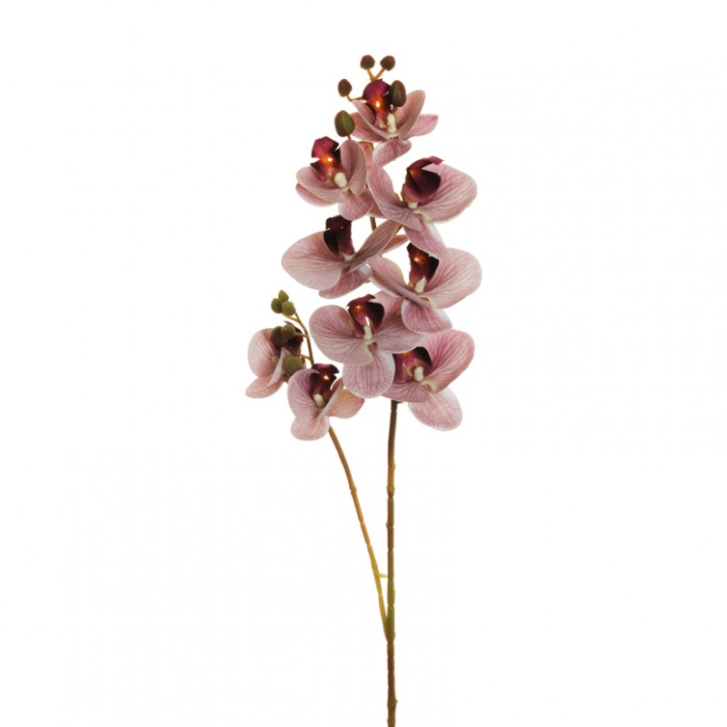 Orchidea phalaenopsis or h88 cm- ant.li*