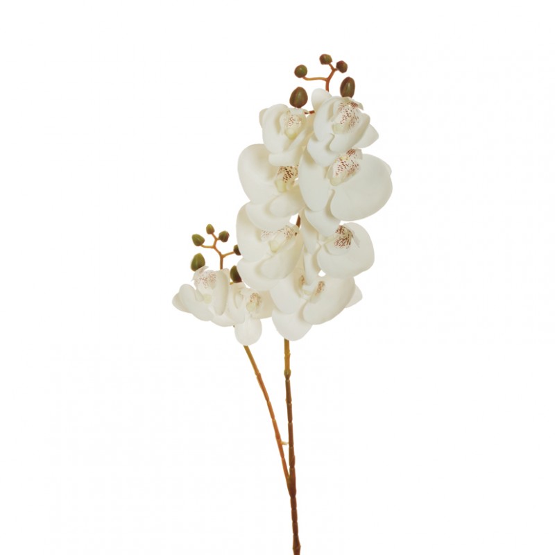 Orchidea phalaenopsis or h88 cm- white*