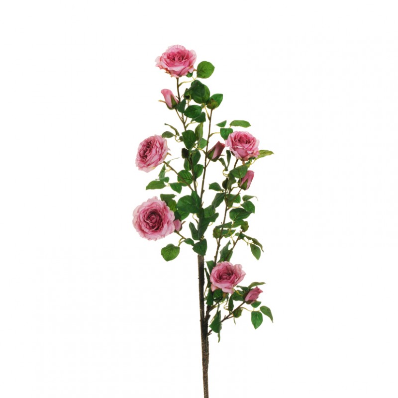 Rosa garden ramo h110 ro - dark pink  *