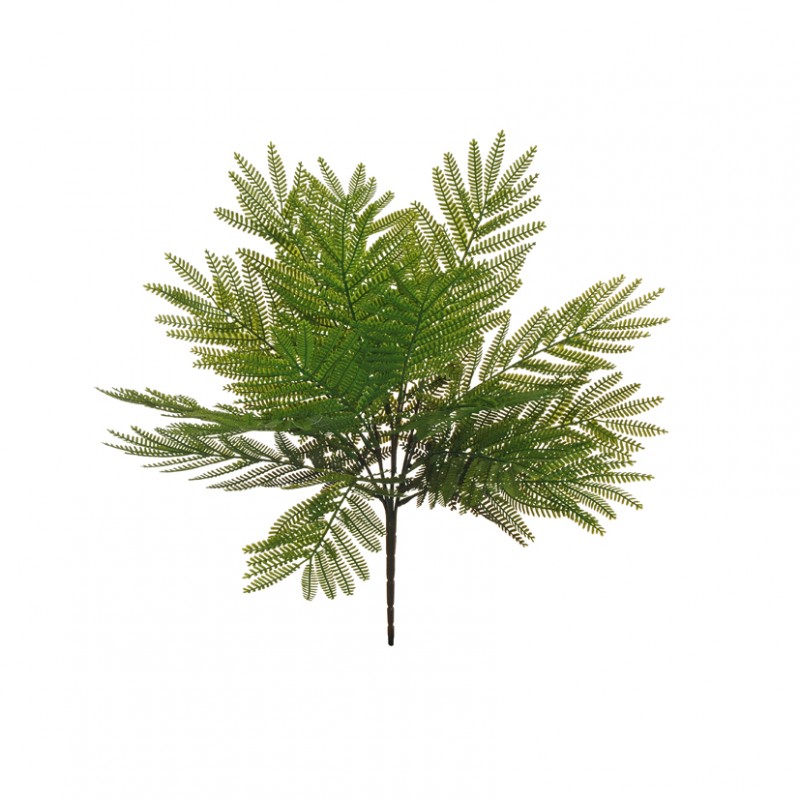 Felce acacia bush x7 h46cm - green *