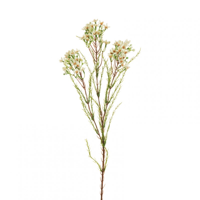 Fiore cera ramo x3 h79 fc - white/cream*