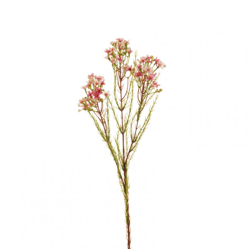 Fiore cera ramo x3 h79 fc - fucsia/pink*