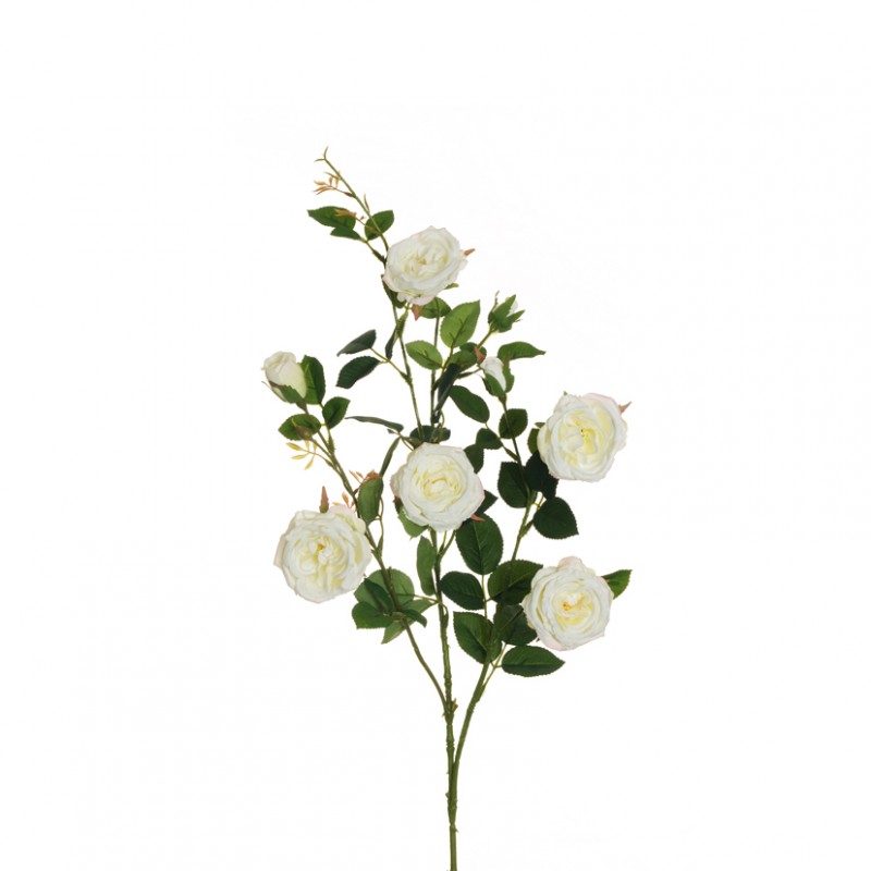 Rosa austin ramo x3 h87 ro - white*