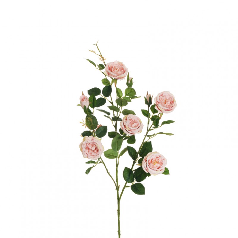 Rosa austin ramo x3 h87 ro-pink/salmon*
