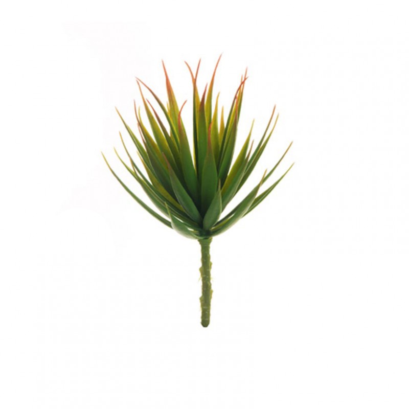 Aloe d11 h22 pg - green/burgundy *
