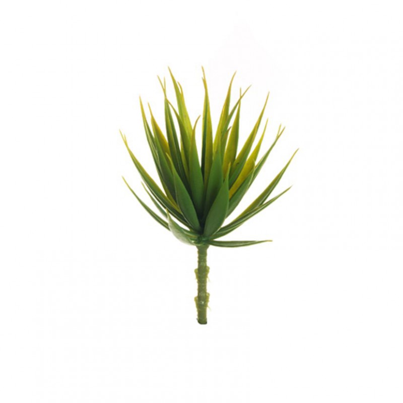 Aloe d11 h22 pg - light green *