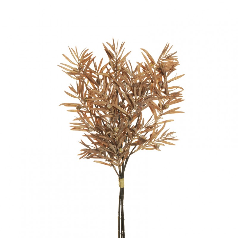 Mazzo podocarpus x3 h49 po - brown *