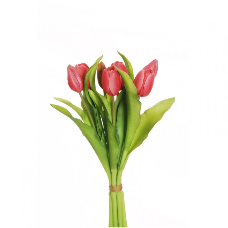 Tulipano x7 h32 tu - fucsia *