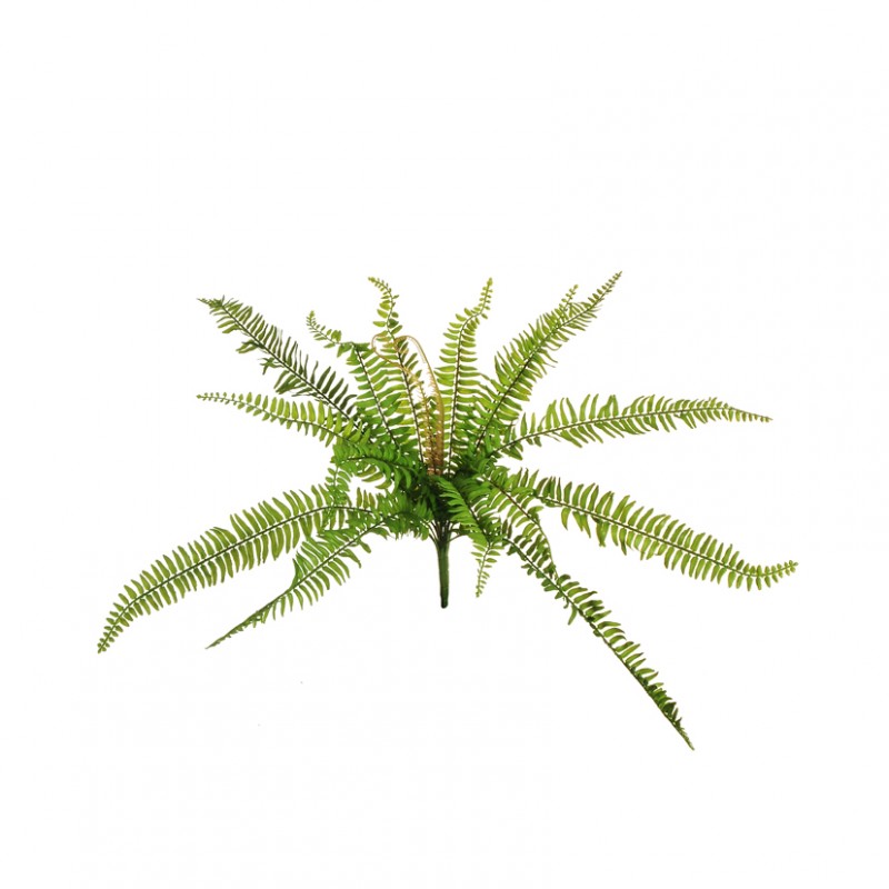 Felce boston h56 fe -  green *